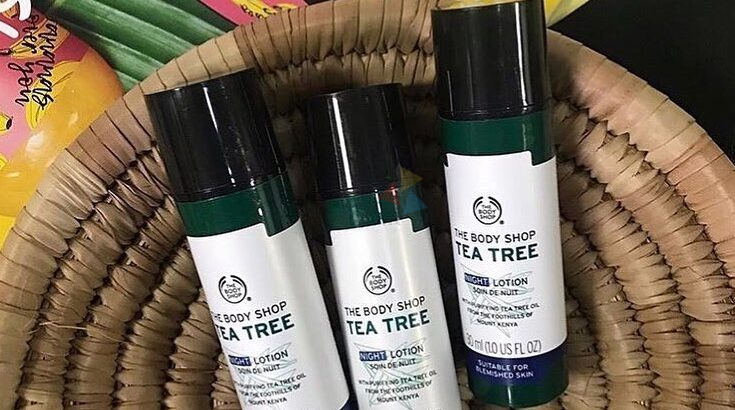 Tea tree Night Lotion