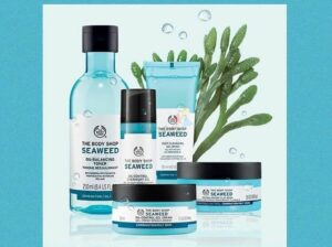 Seaweed Set