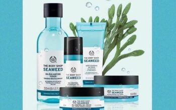 Seaweed Set