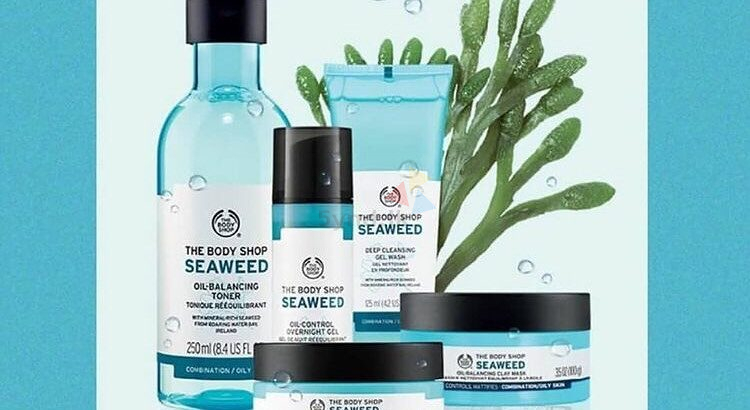 Seaweed Set