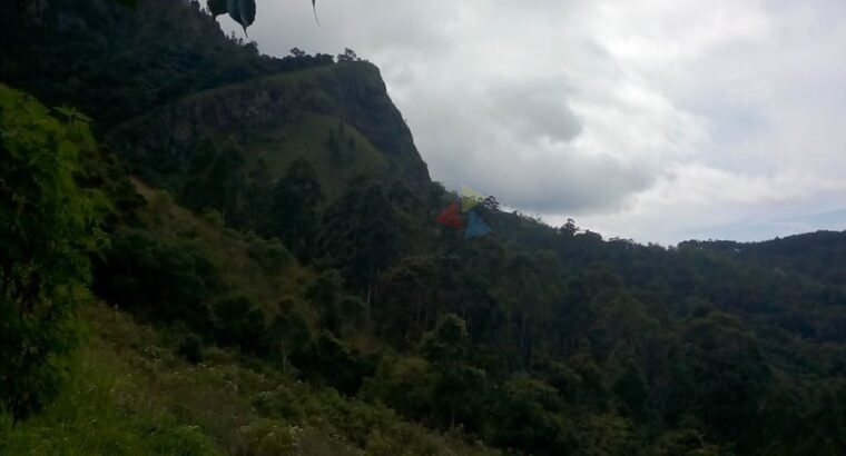 Land for Sale in Badulla