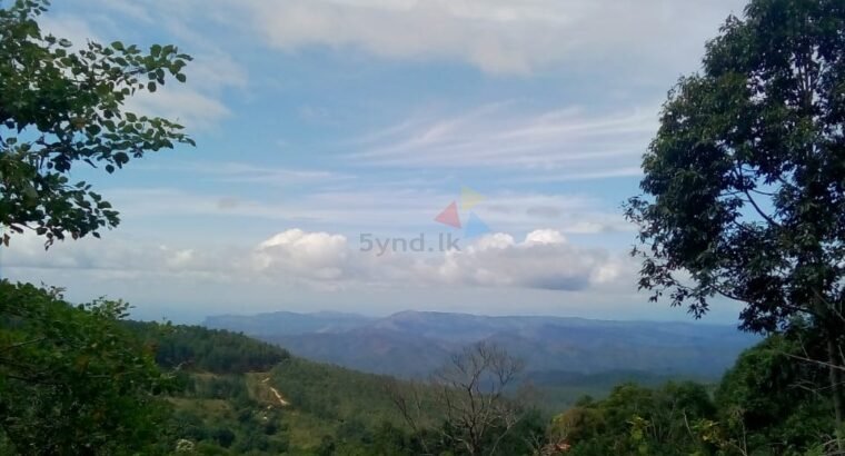 Land for Sale in Badulla