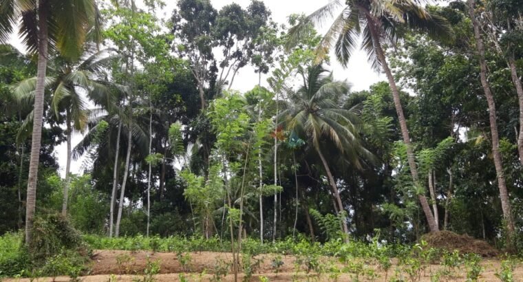 Land for Sale in Weligama