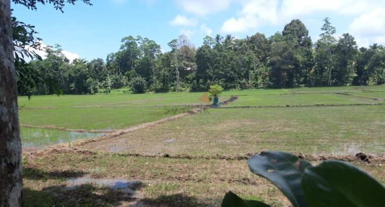 Land for Sale in Weligama