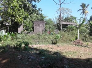 Land for Sale in Horana