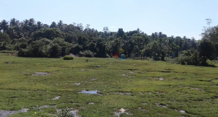 Land for Sale in Horana