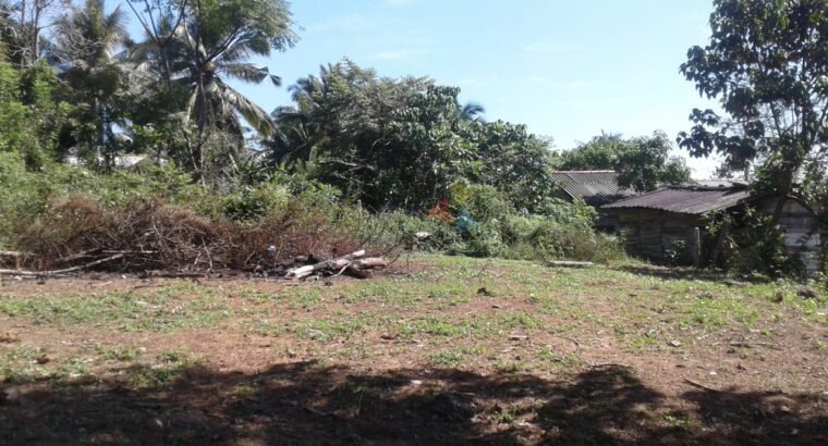 Land for Sale in Horana