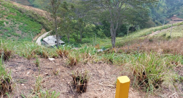 Land For Sale In Nuwara Eliya