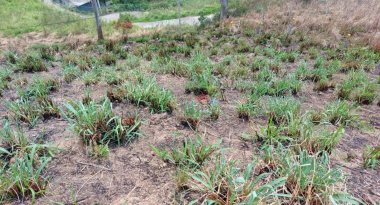Land For Sale In Nuwara Eliya