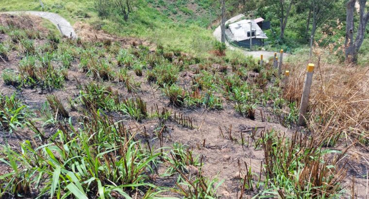 Land For Sale In Nuwara Eliya
