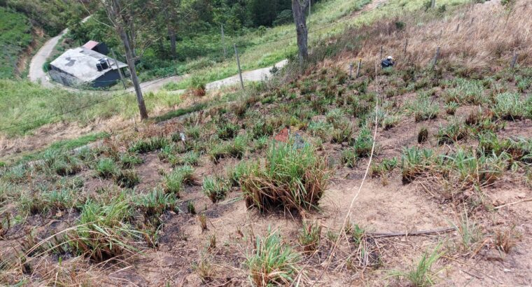 Land For Sale In Nuwara Eliya