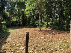 Land for Sale Kadawatha