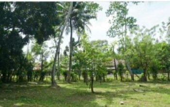 Land for Sale in – Kalutara