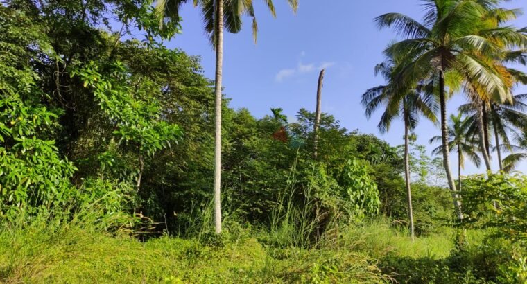 Land For Sale In Bandaragama