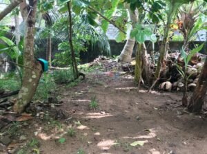 Land with Old House for Sale in Panadura