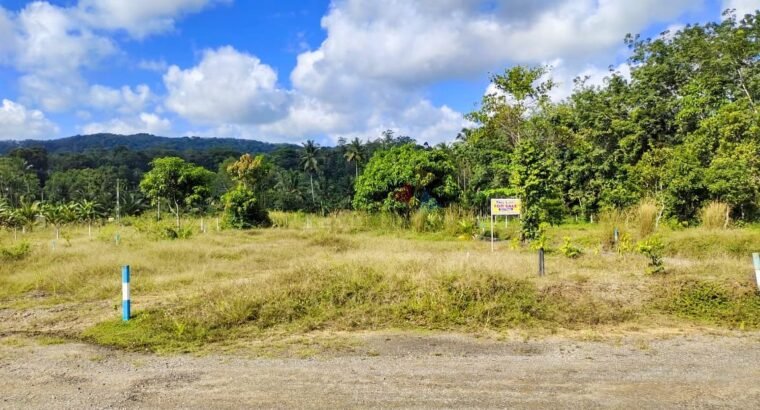 Land for Sale in Horana