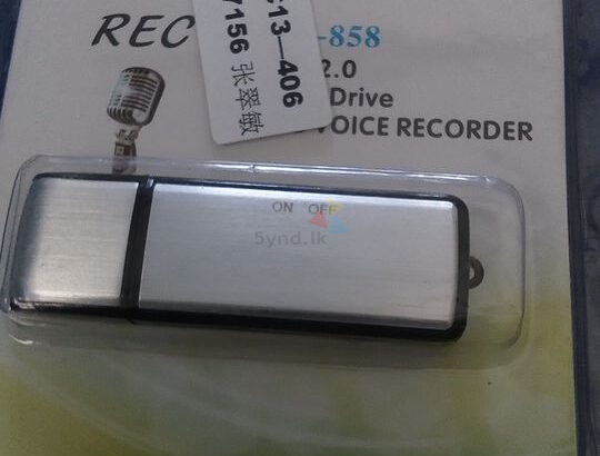 Mini Voice Recorder