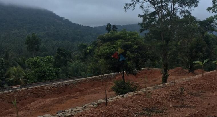 Land for Sale Matale