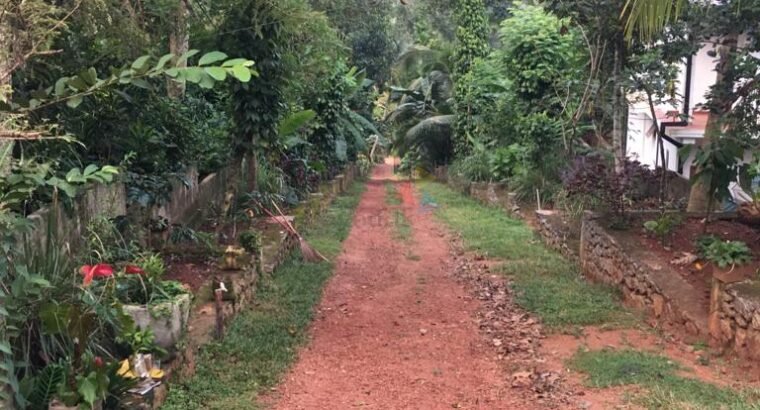 Land for Sale Matale