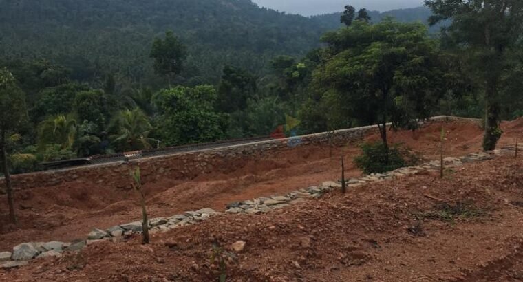 Land for Sale Matale