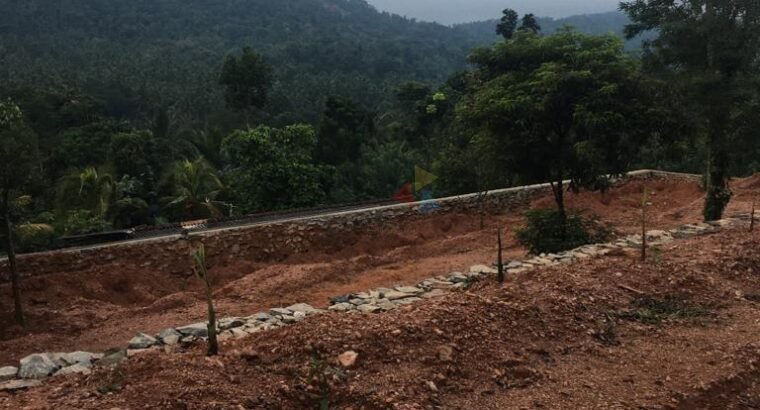 Land for Sale Matale