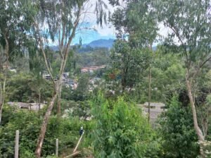 19.8 Perch Land for Sale in Bandarawela