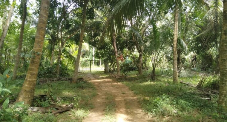 Land with House for Sale in Beliatta