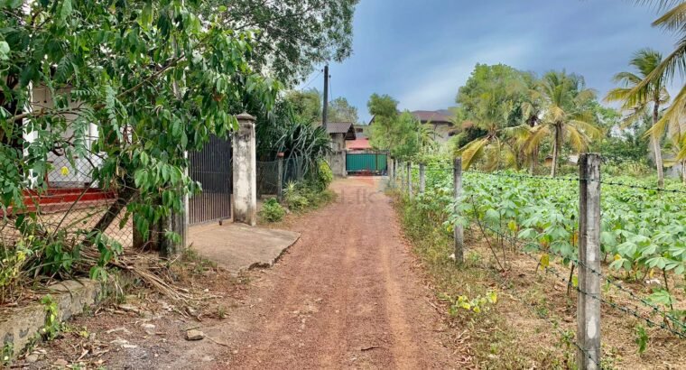 Residential Land for Sale in Kandana