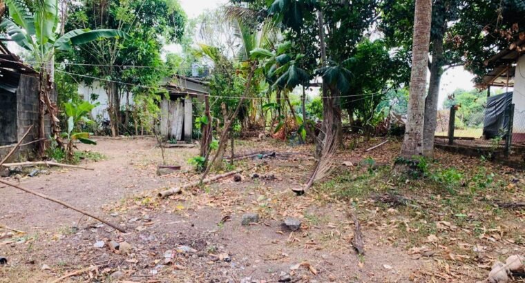 Residential Land for Sale in Kandana