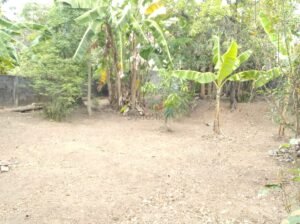 14.7P Bare Land for sale – Pelanwatta