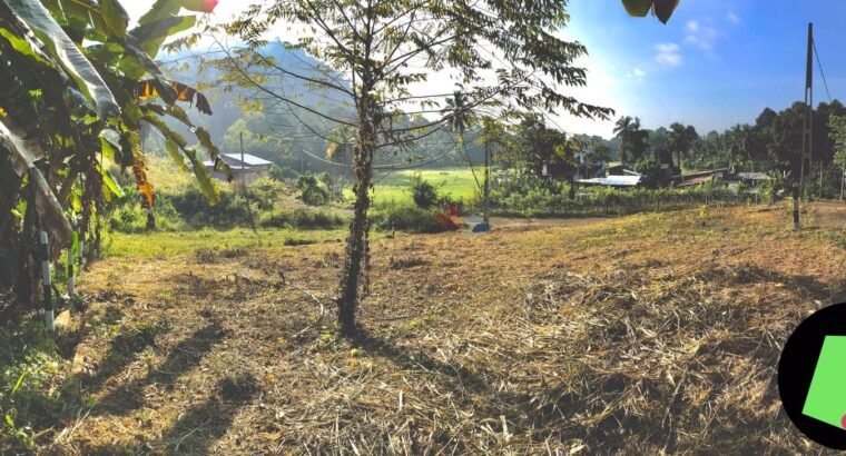 Land for Sale Kuruwita 22.5P