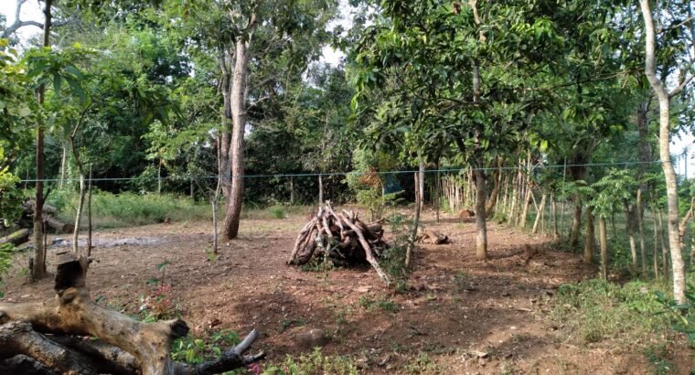 Land for Sale in Tangalla