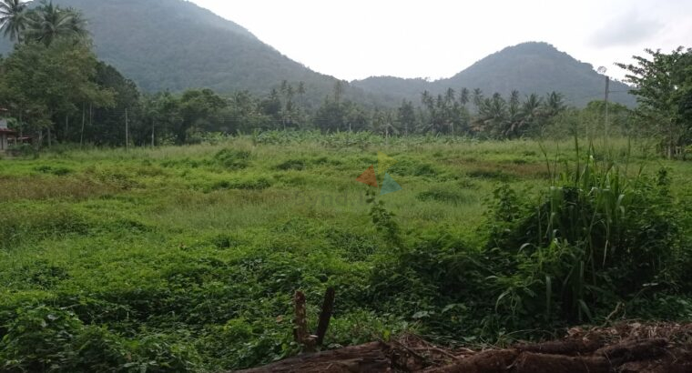 Land for sale in Kurunegala Pilessa area
