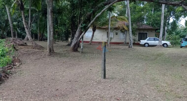 Land for sale in Kurunegala Pilessa area