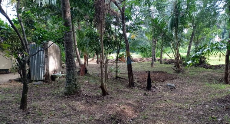 Land for sale in Kurunegala Pilessa area