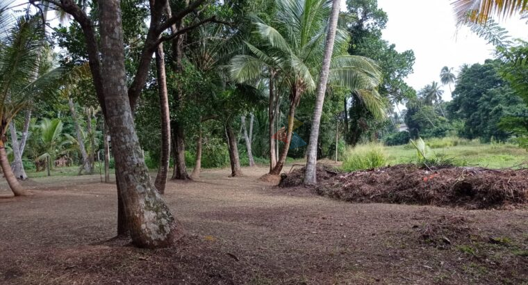 Land for sale in Kurunegala Pilessa area