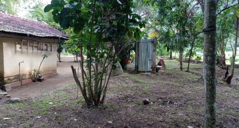 Land for sale in Kurunegala Pilessa area