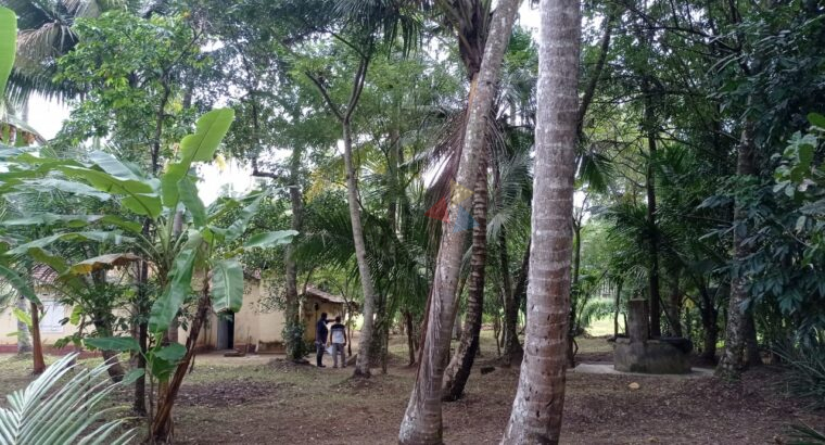 Land for sale in Kurunegala Pilessa area