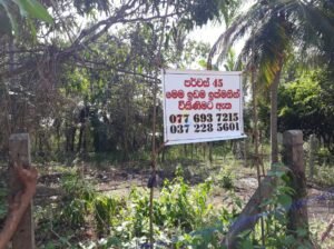 Land for Sale In Nattandiya