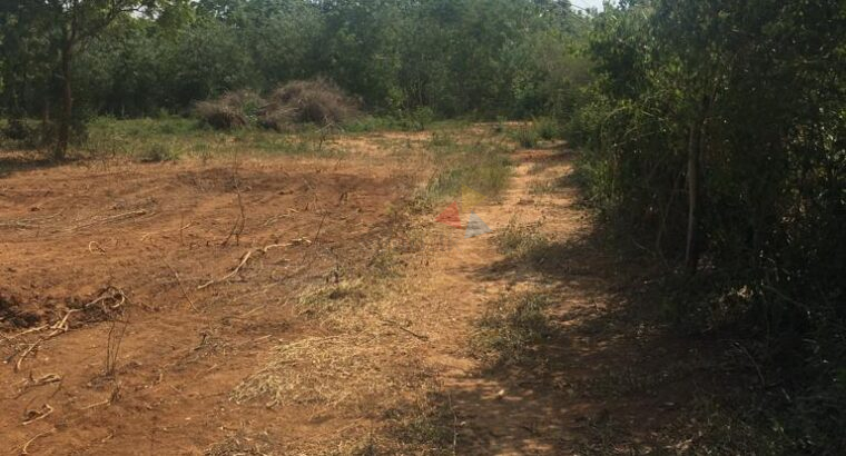 Land for Sale in Ambalantota