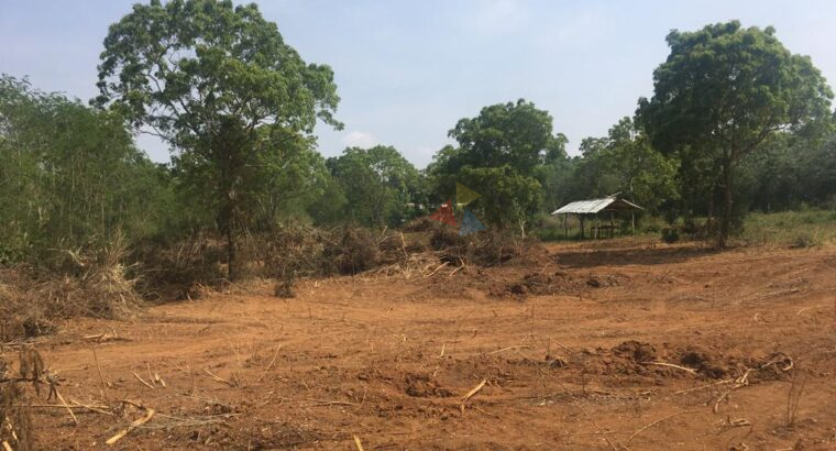 Land for Sale in Ambalantota