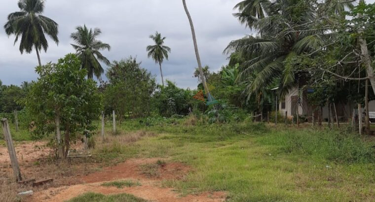 Land For Sale In Anuradhapura