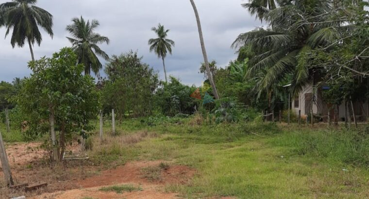 Land For Sale In Anuradhapura