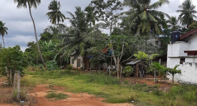 Land For Sale In Anuradhapura