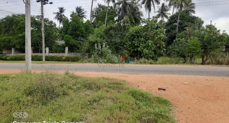 Land For Sale In Anuradhapura