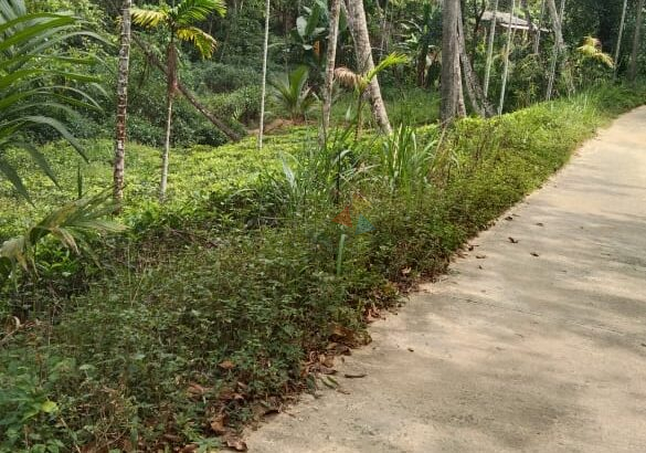 Valuable Land For Sale Deraniyagala
