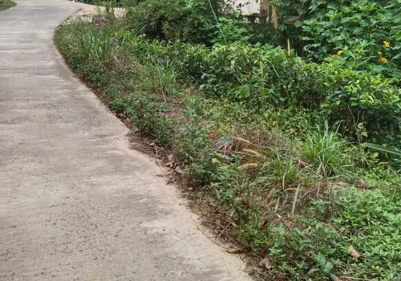 Valuable Land For Sale Deraniyagala