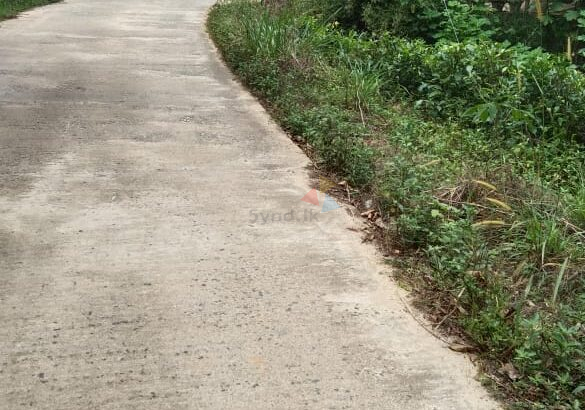 Valuable Land For Sale Deraniyagala