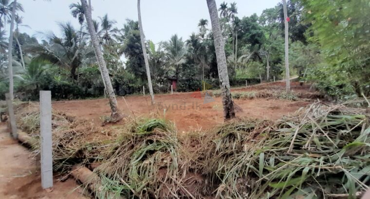 ඉඩම විකිණීමට -නිවටුව වරකාපොළ