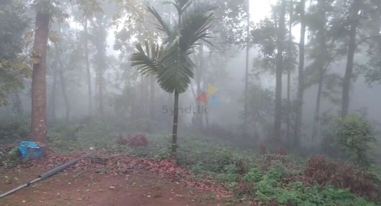 Land for sale – Ruwanwella